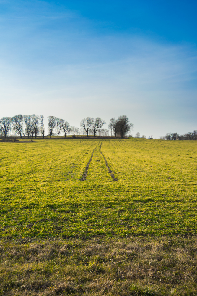 dia-de-sol-no-campo